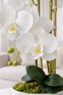 Storczyk biały Phalaenopsis w białej misie - sztuczna dekoracja do salonu